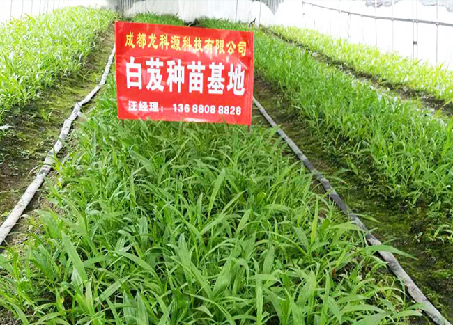 豐富經(jīng)驗(yàn)